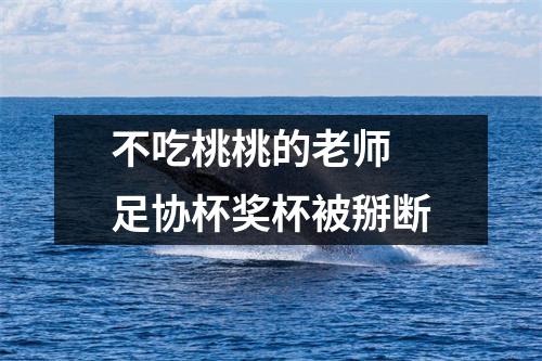 不吃桃桃的老师 足协杯奖杯被掰断