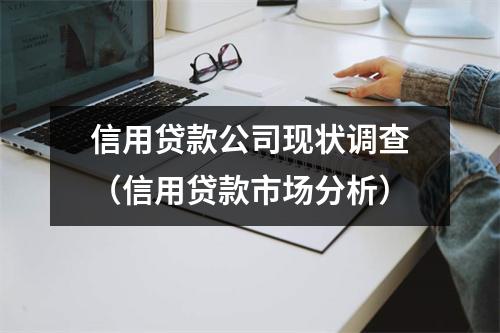 信用贷款公司现状调查（信用贷款市场分析）