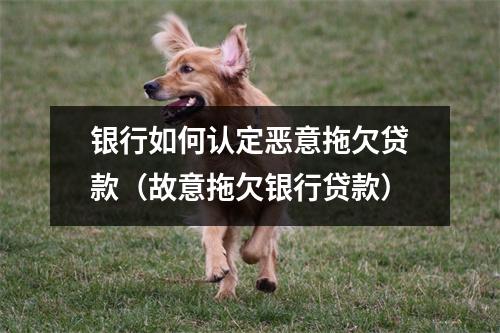 银行如何认定恶意拖欠贷款（故意拖欠银行贷款）