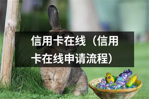 信用卡在线（信用卡在线申请流程）