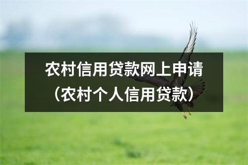 农村信用贷款网上申请（农村个人信用贷款）