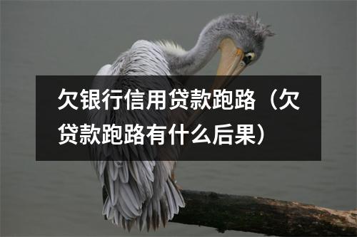 欠银行信用贷款跑路（欠贷款跑路有什么后果）