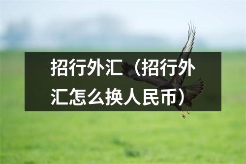 招行外汇(招行外汇怎么换人民币)