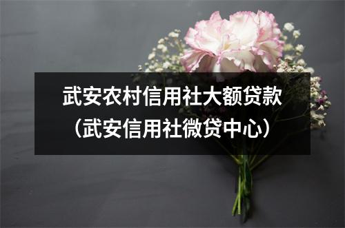 武安农村信用社大额贷款（武安信用社微贷中心）