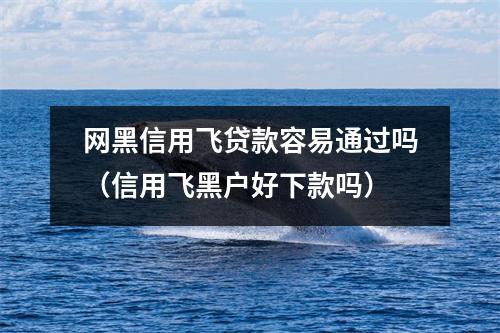 网黑信用飞贷款容易通过吗(信用飞黑户好下款吗)