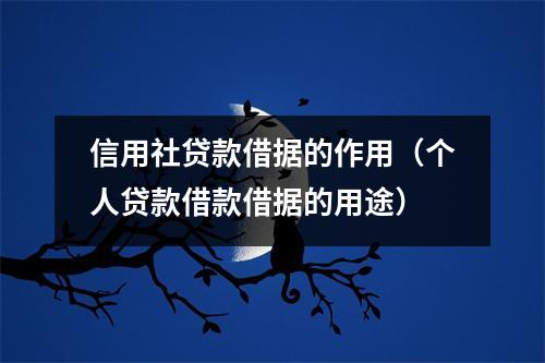 信用社贷款借据的作用（个人贷款借款借据的用途）