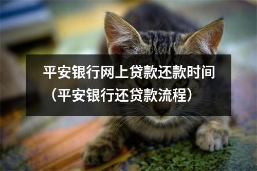 平安银行网上贷款还款时间（平安银行还贷款流程）