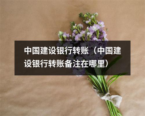 中国建设银行转账（中国建设银行转账备注在哪里）