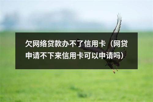 欠网络贷款办不了信用卡(网贷申请不下来信用卡可以申请吗)