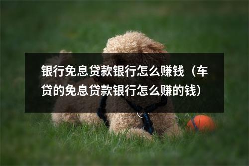 银行免息贷款银行怎么赚钱(车贷的免息贷款银行怎么赚的钱)