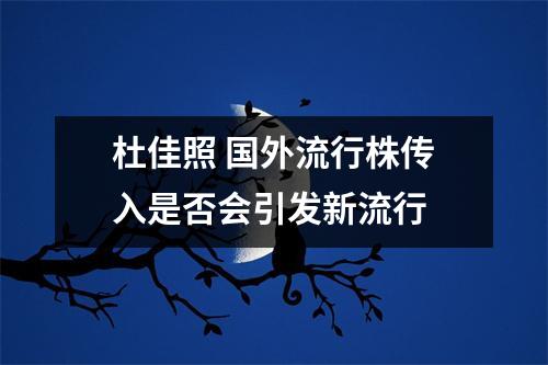 杜佳照 国外流行株传入是否会引发新流行