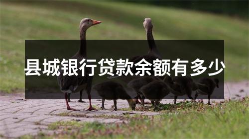县城银行贷款余额有多少