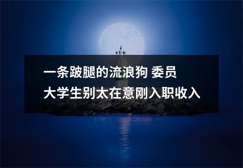 一条跛腿的流浪狗 委员 大学生别太在意刚入职收入