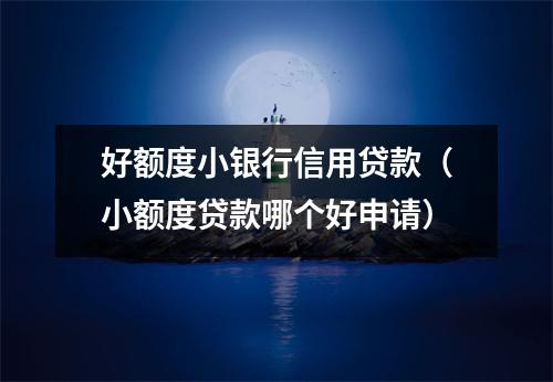 好额度小银行信用贷款（小额度贷款哪个好申请）