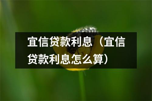 宜信贷款利息（宜信贷款利息怎么算）