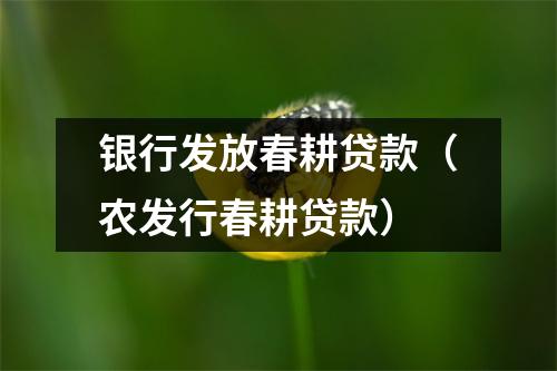 银行发放春耕贷款（农发行春耕贷款）