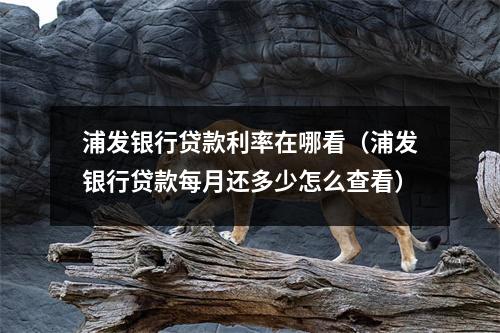 浦发银行贷款利率在哪看（浦发银行贷款每月还多少怎么查看）