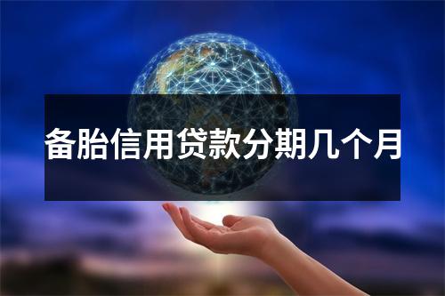备胎信用贷款分期几个月