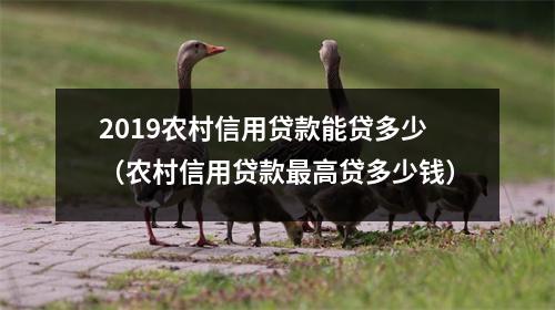 2019农村信用贷款能贷多少(农村信用贷款最高贷多少钱)