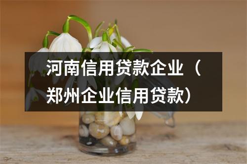 河南信用贷款企业（郑州企业信用贷款）
