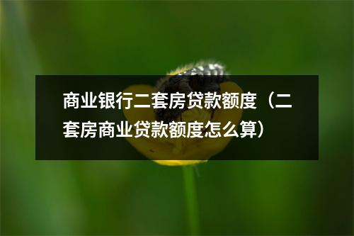 商业银行二套房贷款额度（二套房商业贷款额度怎么算）