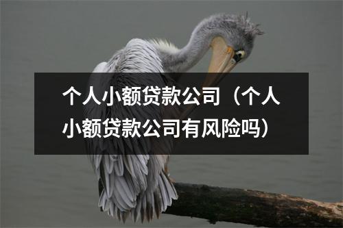 个人小额贷款公司（个人小额贷款公司有风险吗）