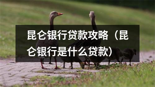 昆仑银行贷款攻略（昆仑银行是什么贷款）