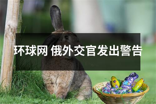环球网 俄外交官发出警告