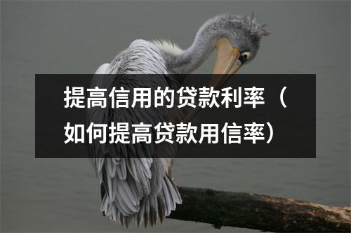 提高信用的贷款利率（如何提高贷款用信率）