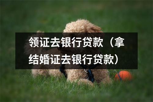 领证去银行贷款（拿结婚证去银行贷款）