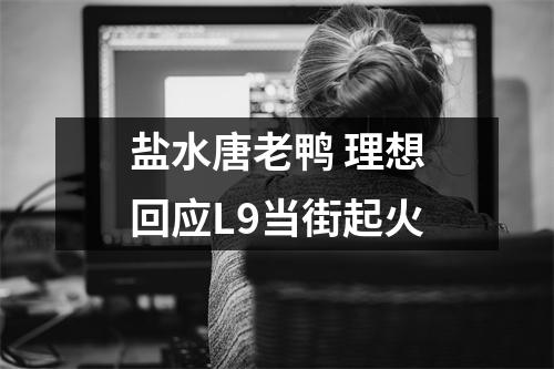 盐水唐老鸭 理想回应L9当街起火