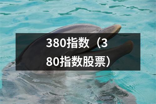 380指数（380指数股票）