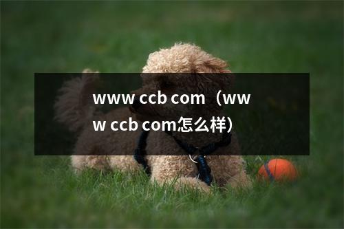www ccb com（www ccb com怎么样）