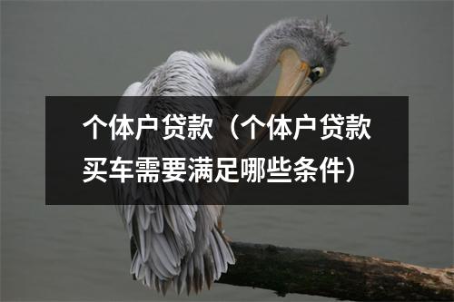 个体户贷款（个体户贷款买车需要满足哪些条件）