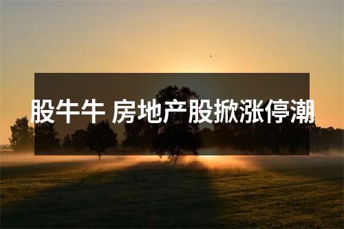 股牛牛 房地产股掀涨停潮