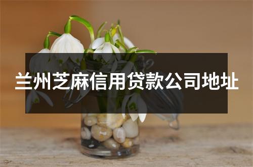 兰州芝麻信用贷款公司地址