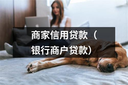 商家信用贷款（银行商户贷款）