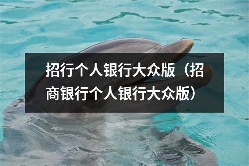 招行个人银行大众版（招商银行个人银行大众版）