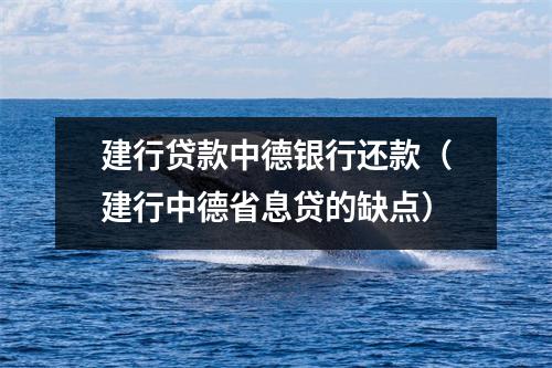 建行贷款中德银行还款（建行中德省息贷的缺点）
