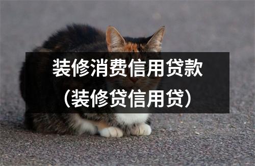 装修消费信用贷款（装修贷信用贷）