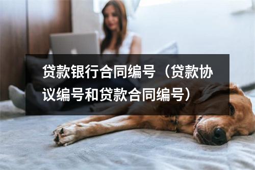 贷款银行合同编号(贷款协议编号和贷款合同编号)