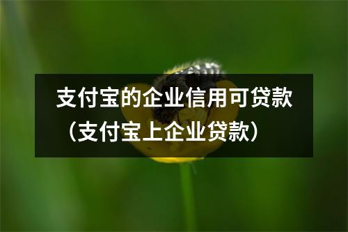 支付宝的企业信用可贷款（支付宝上企业贷款）