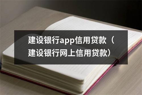 建设银行app信用贷款(建设银行网上信用贷款)
