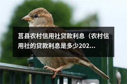 莒县农村信用社贷款利息（农村信用社的贷款利息是多少2020）