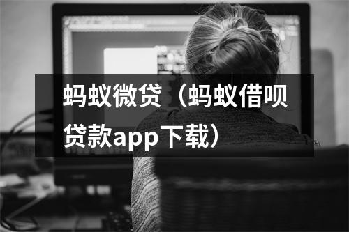 蚂蚁微贷(蚂蚁借呗贷款app下载)