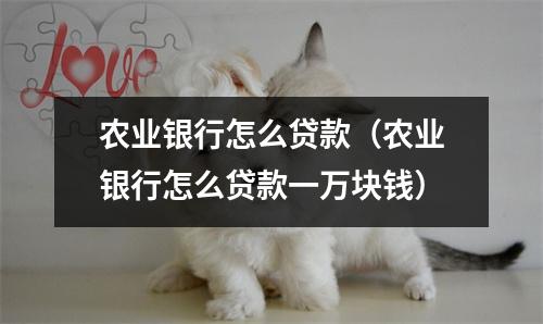 农业银行怎么贷款(农业银行怎么贷款一万块钱)