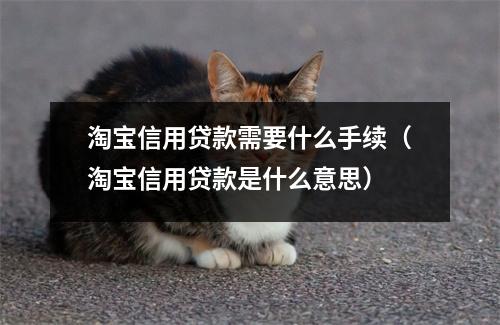 淘宝信用贷款需要什么手续（淘宝信用贷款是什么意思）