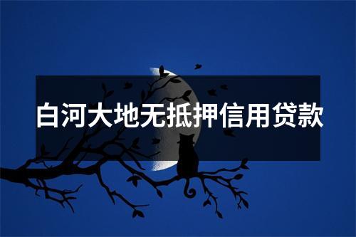 白河大地无抵押信用贷款