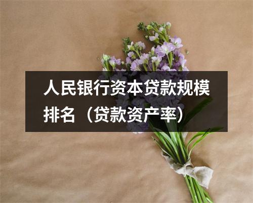 人民银行资本贷款规模排名（贷款资产率）