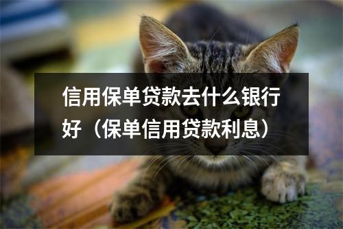 信用保单贷款去什么银行好（保单信用贷款利息）